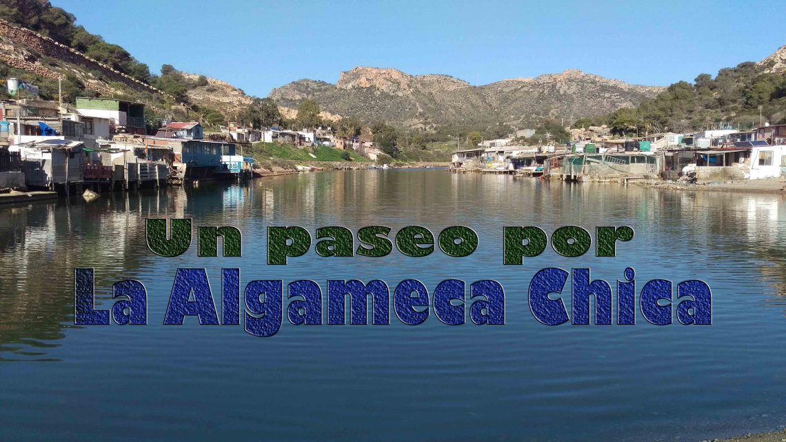 Un paseo por la Algameca Chica Un paseo por la Algameca Chica