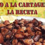 PULPO CT