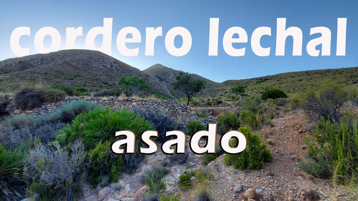 CORDERO LECHAL ASADO CORDERO LECHAL ASADO