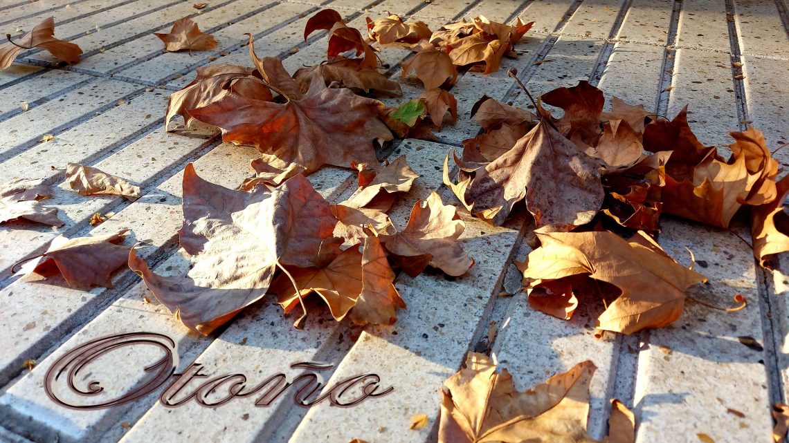 Otoño Otoño