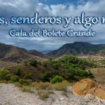 cala de bolete