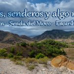 roldan senda moco