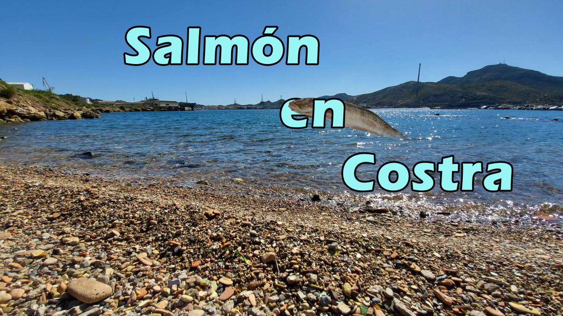 SALMÓN EN COSTRA SALMÓN EN COSTRA