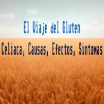gluten