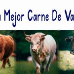 la mejor carne de vaca
