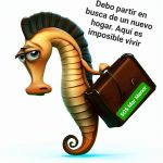en busca de un nuevo hogar