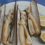 011824_2039_Pescaderafr1.jpg