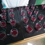 Mojito de frutos rojos