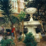 IMG-20250223-WA0006 copia