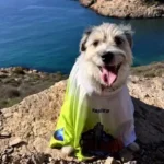 20250403Diapositiva3